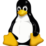 Gli sviluppi del Kernel Linux vanno a rilento? È colpa della RAM del computer di Linus Torvalds che ...