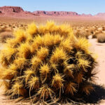 Tutto l’entusiasmo di openSUSE Tumbleweed nell’utilizzo di systemd-boot al posto di GRUB