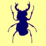 Vulnerabilità Critica React2Shell
